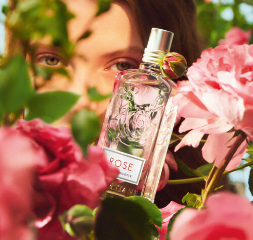 L'Occitane UAE I Natural Beauty and Skincare Products